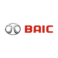 Passenger segment customer of BCS